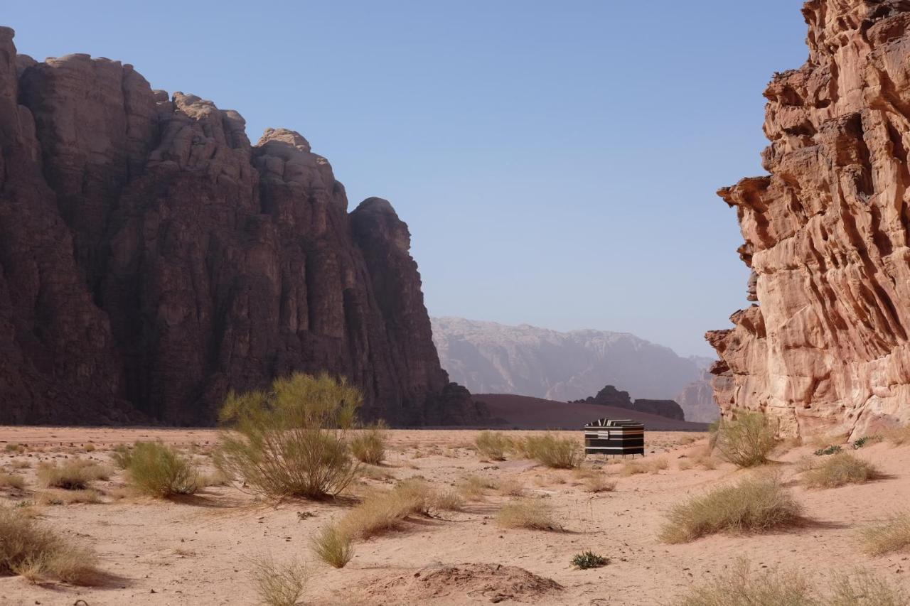Wadirum Momoo 瓦迪拉姆 外观 照片