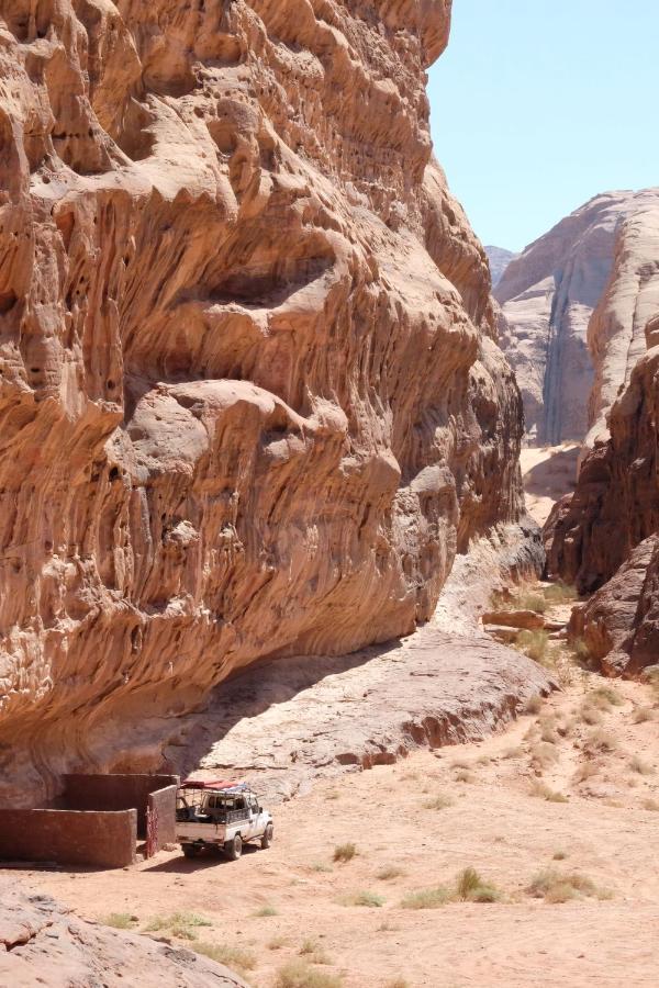 Wadirum Momoo 瓦迪拉姆 外观 照片