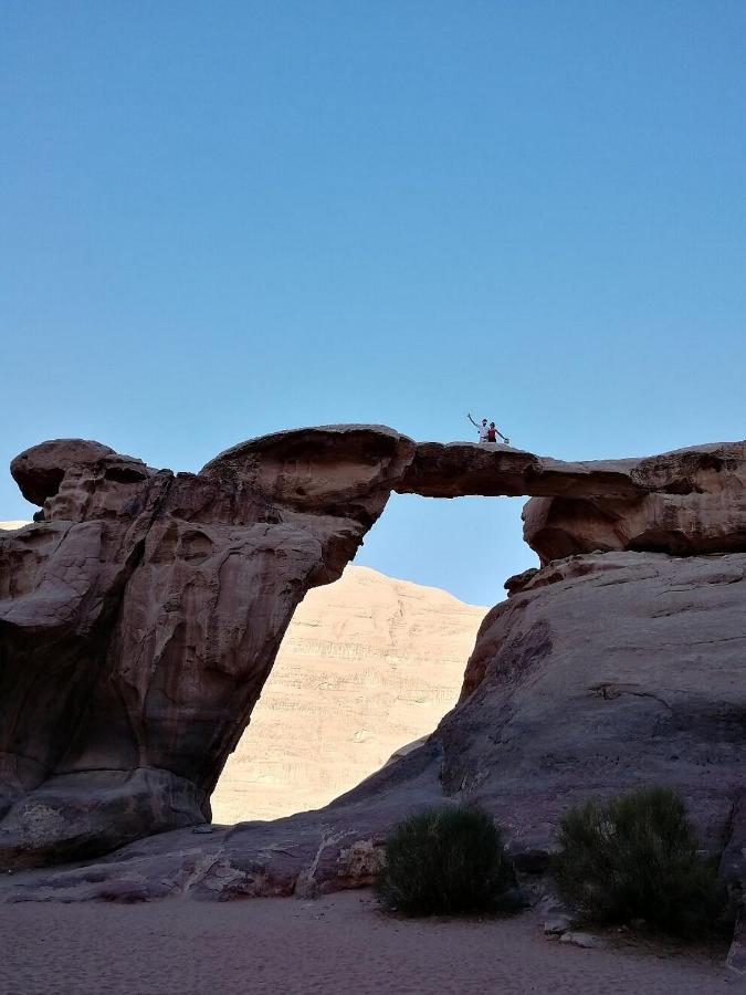 Wadirum Momoo 瓦迪拉姆 外观 照片