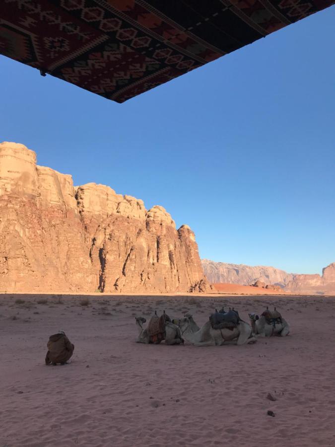 Wadirum Momoo 瓦迪拉姆 外观 照片