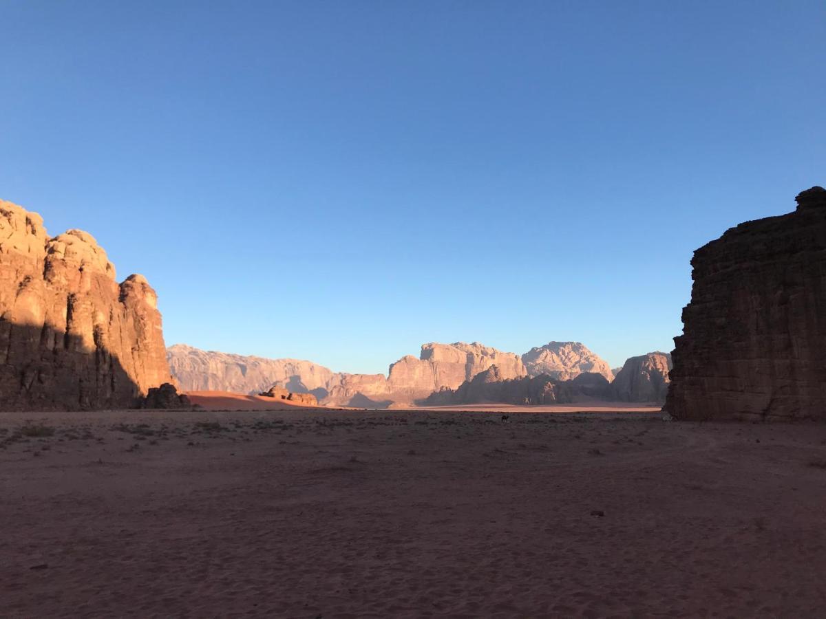 Wadirum Momoo 瓦迪拉姆 外观 照片