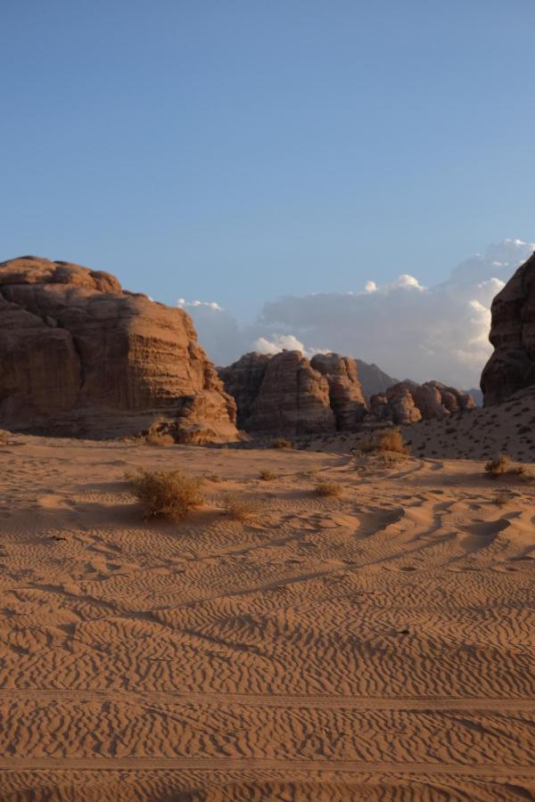 Wadirum Momoo 瓦迪拉姆 外观 照片