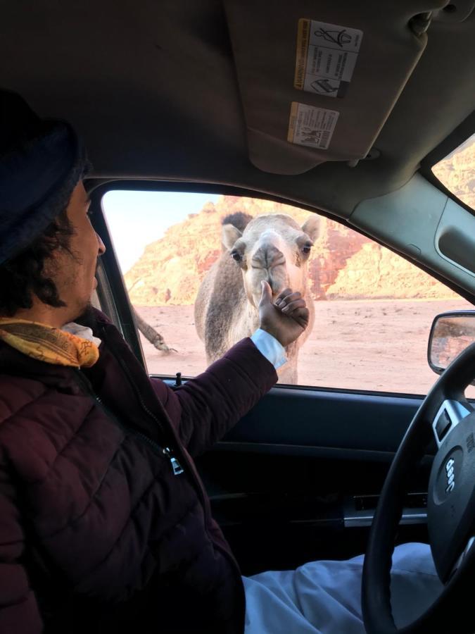 Wadirum Momoo 瓦迪拉姆 外观 照片