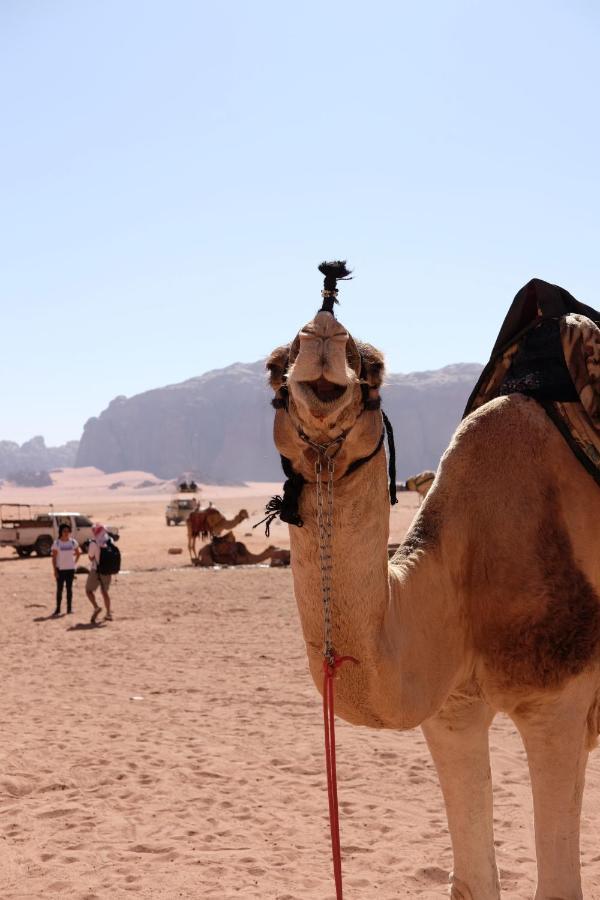 Wadirum Momoo 瓦迪拉姆 外观 照片